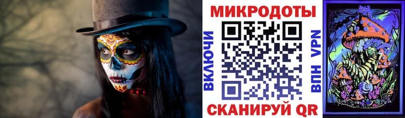 Купить  Тюмень  Галлюциногенные грибы Cubensis 