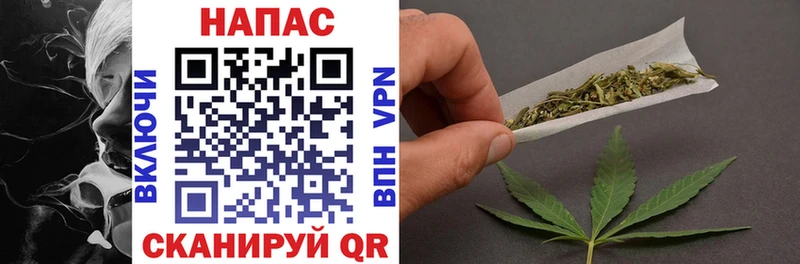 Купить где  Тюмень  Конопля план 